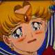   - 045. Sailor Senshi shisu! Hisou naru saishuusen