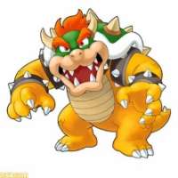  - Bowser