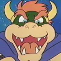  - Bowser