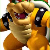  - Bowser