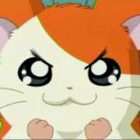  Hamtaro