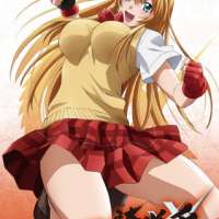   - Ikkitousen: Xtreme Xecutor Specials