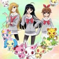   Jewelpet Sunshine