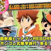   - Katekyo Hitman Reborn! Special