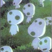  Kodama