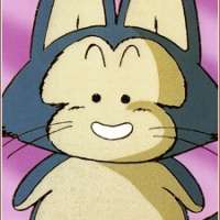  Puar