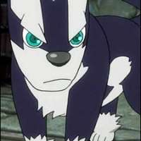  Repede