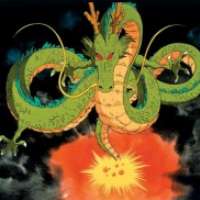  Shenlong