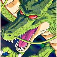  Shenlong