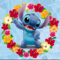  Stitch