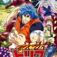   Toriko