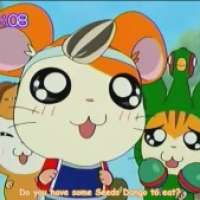   Tottoko Hamtaro Hai!